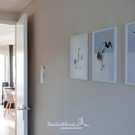 Hausboot Kranichnest Tekne